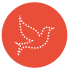 white dove